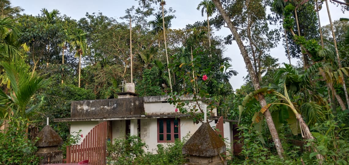VIEW FROM ROAD