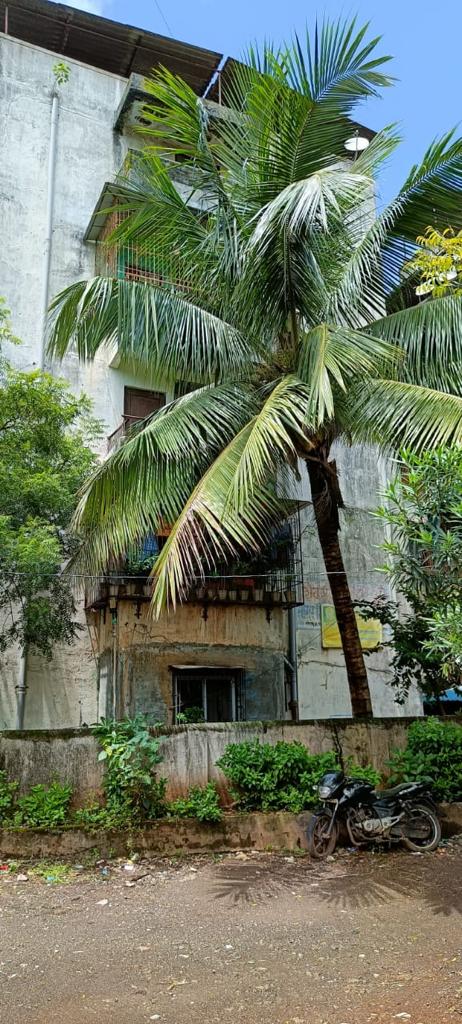 VIEW OF BUILDING