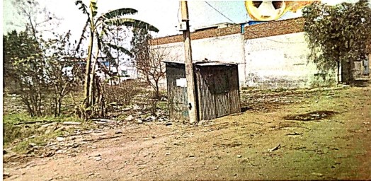 FRONT VIEW OF PLOT