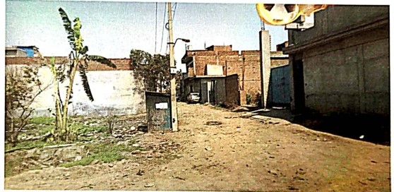 PLOT VIEW
