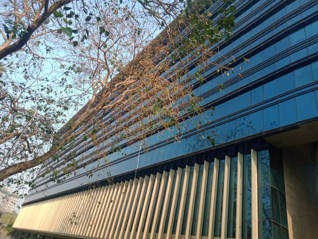 BOOMERANG PREMISES