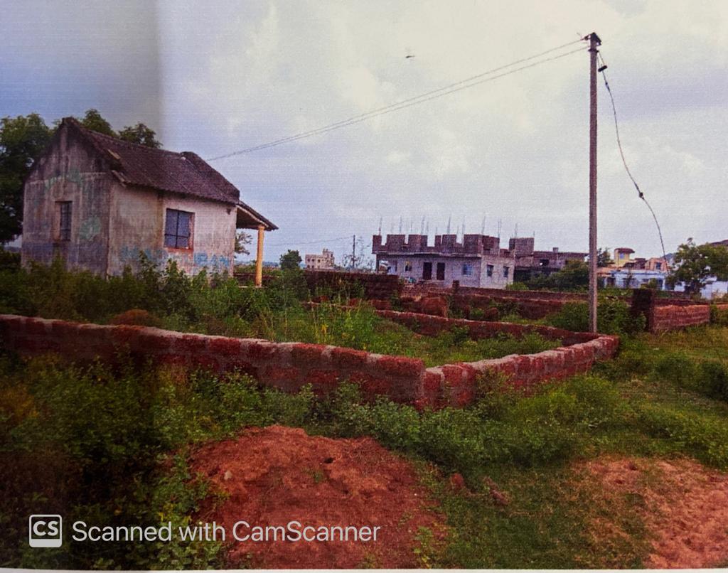 PHOTOGRAPH OF THE PLOT