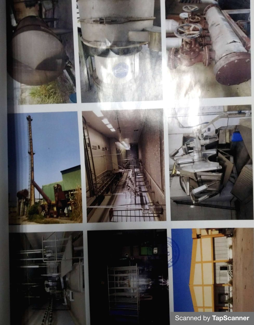 Plant & Machinery