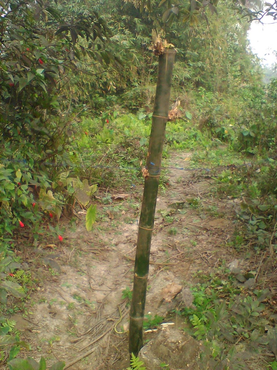 VACANT LAND