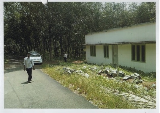 ROAD VIEW
