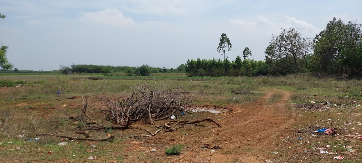 SITE