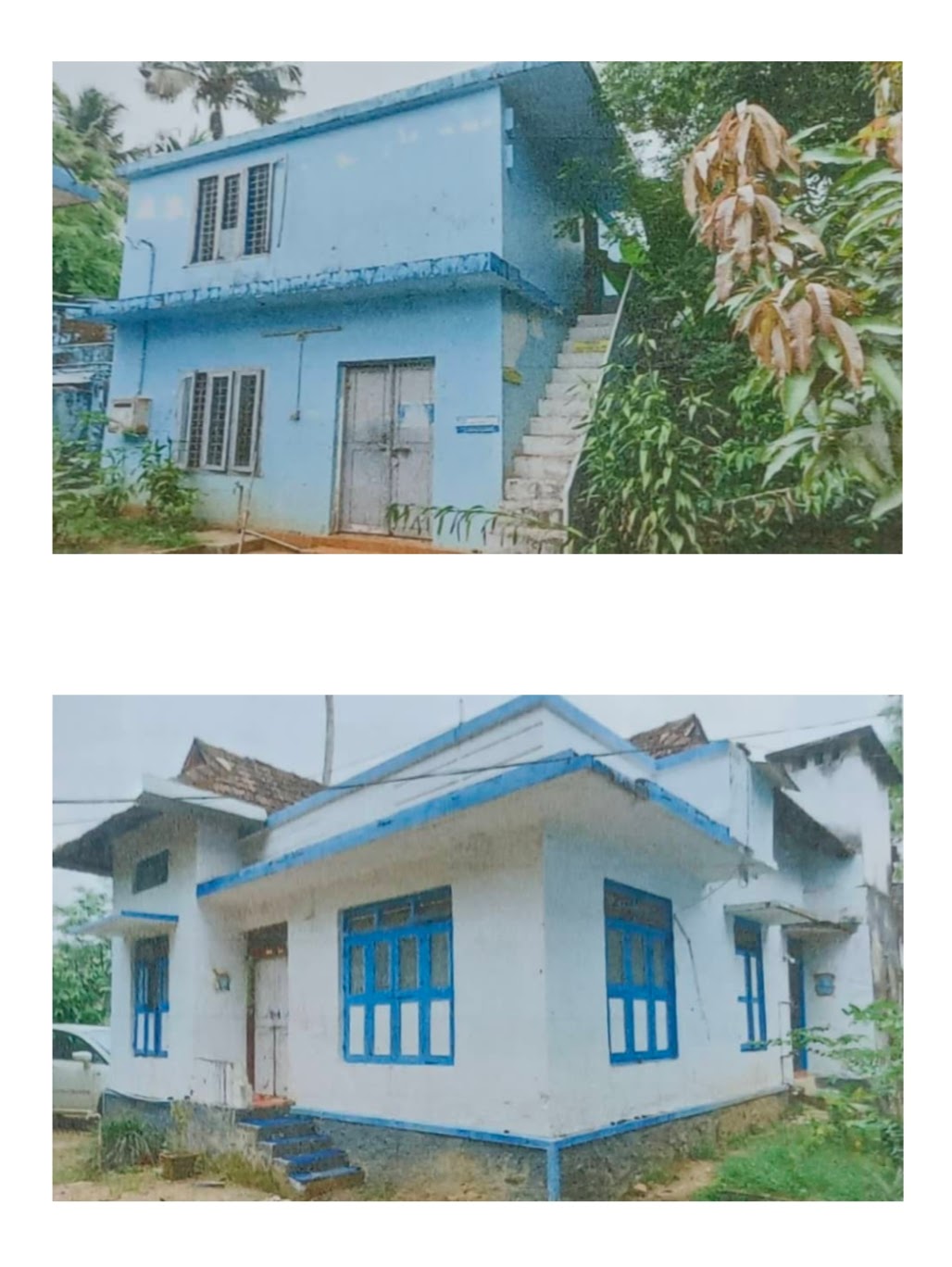 IMAGE1