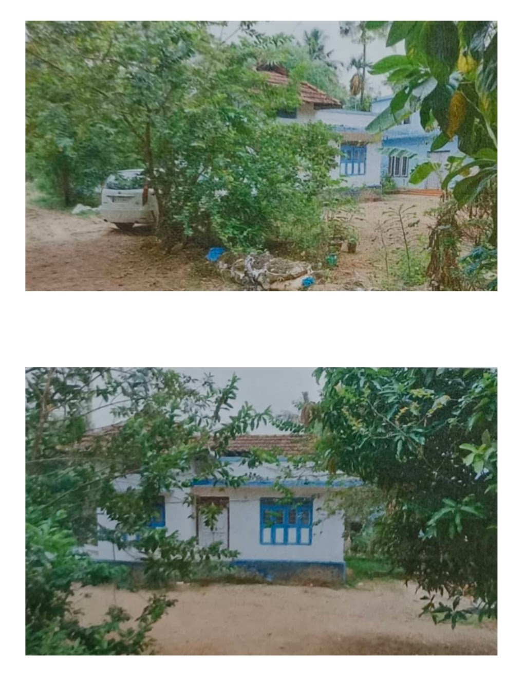 IMAGE4