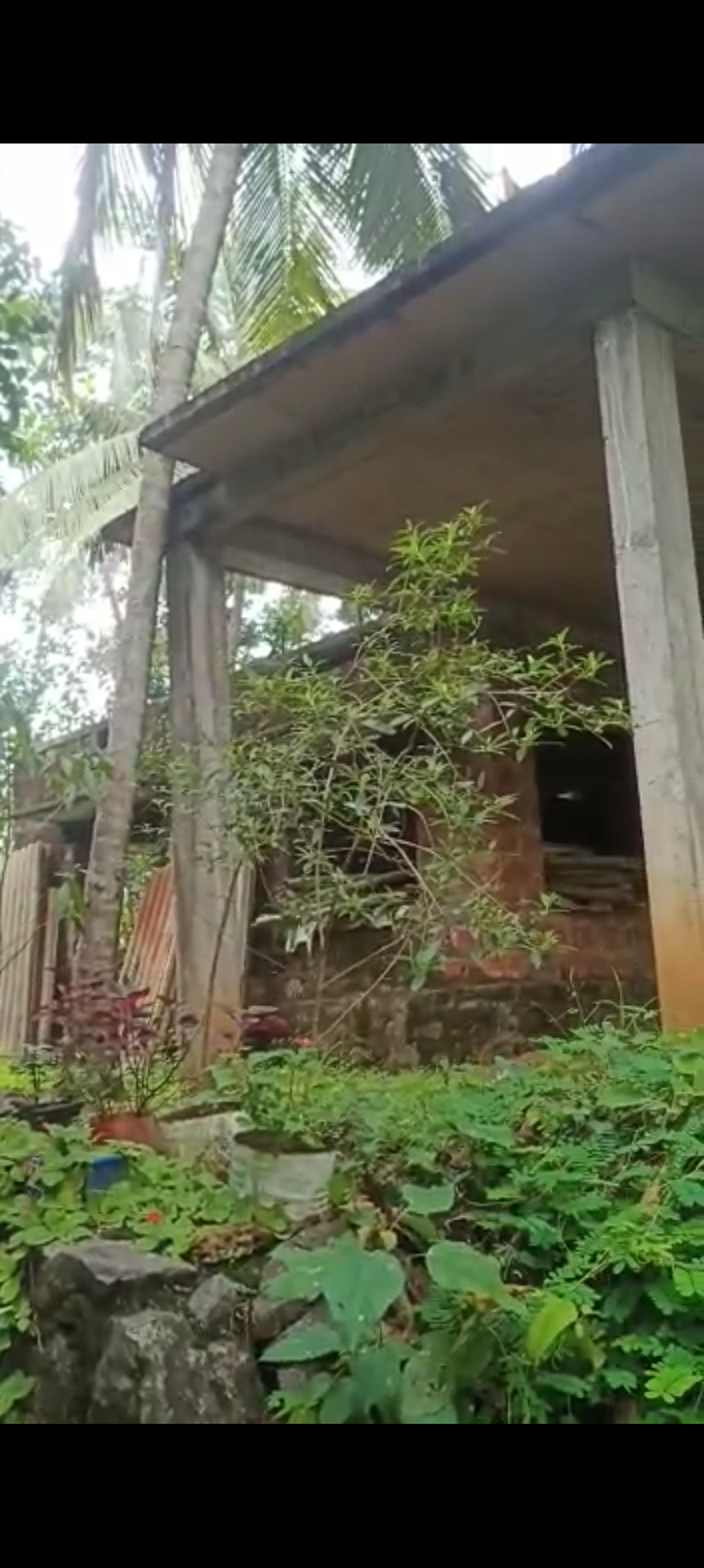 IMAGE3