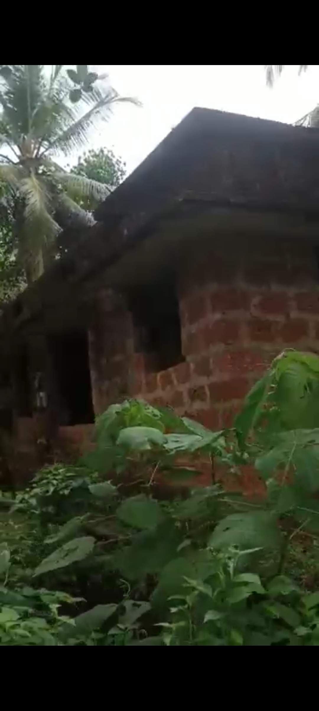 IMAGE4