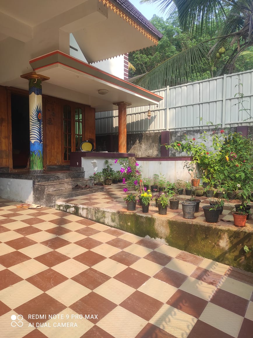 external view