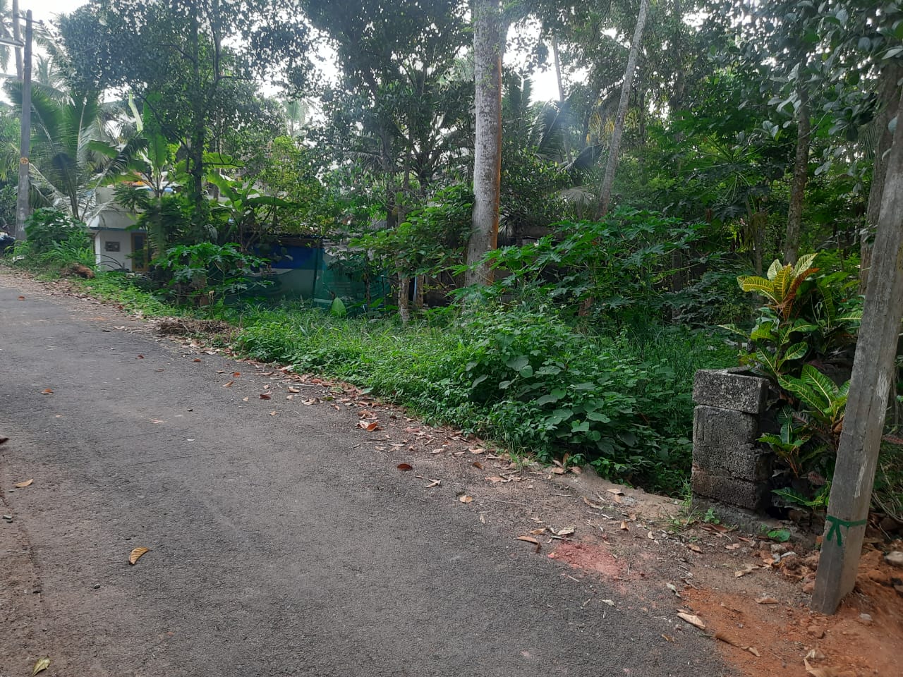 road view