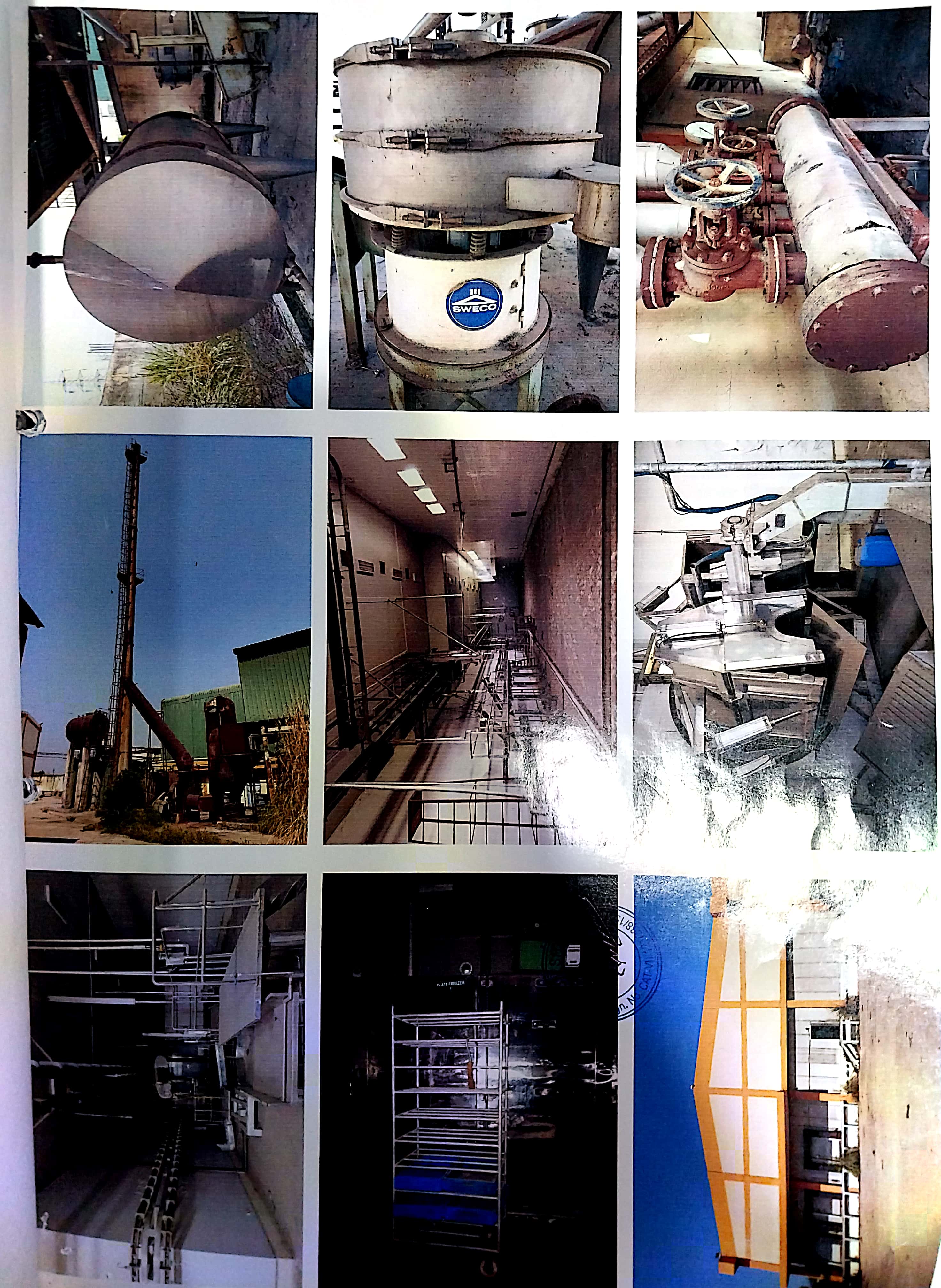 plant 2