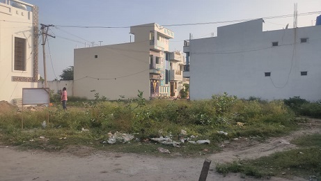 PLOT VIEW